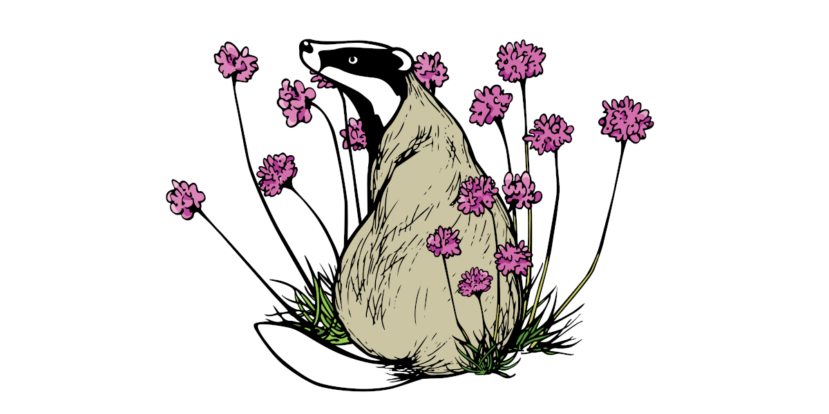 Badger in Flowers