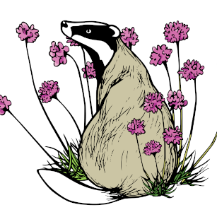 Badger in flowers